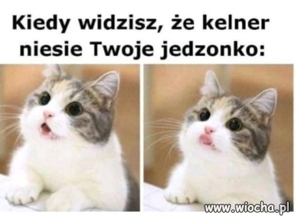 Kiedy jesteś głodny 