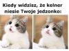 Kiedy jesteś głodny 