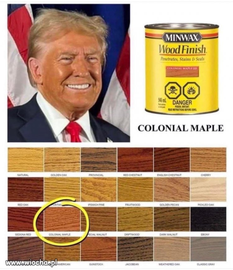 Odcień Trumpa - Kolor Klonowy
