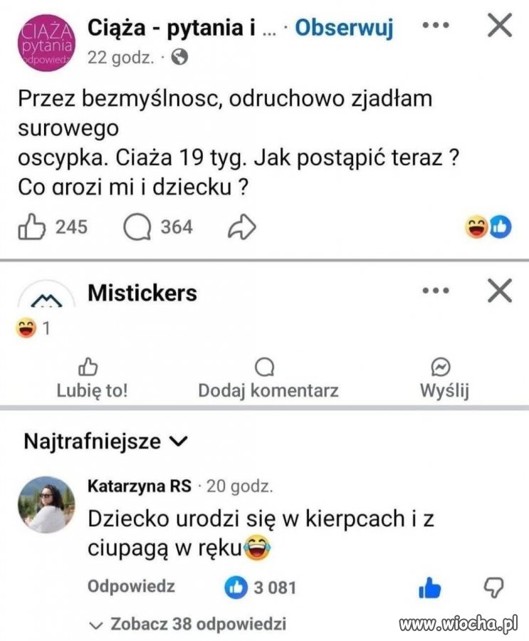 Ciąża, oscypek i panika totalna ? polski internet w formie