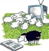 System nie lubi, gdy zaczynasz czytać instrukcję
