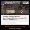 Ginekolog z unikalnymi uprawnieniami
