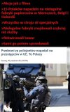 Polak potrafi 