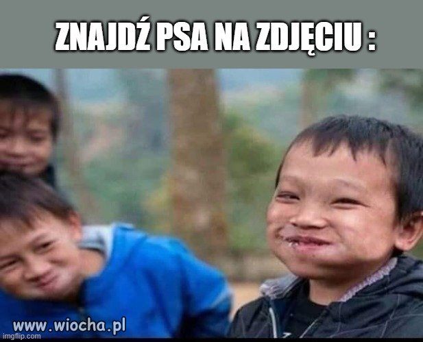 W niektórych krajach słowa"słodki piesek"
