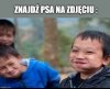 W niektórych krajach słowa"słodki piesek"