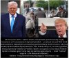 Niech żyje Donald Trump!