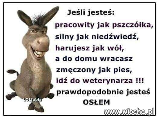 CV życia codziennego