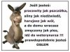CV życia codziennego