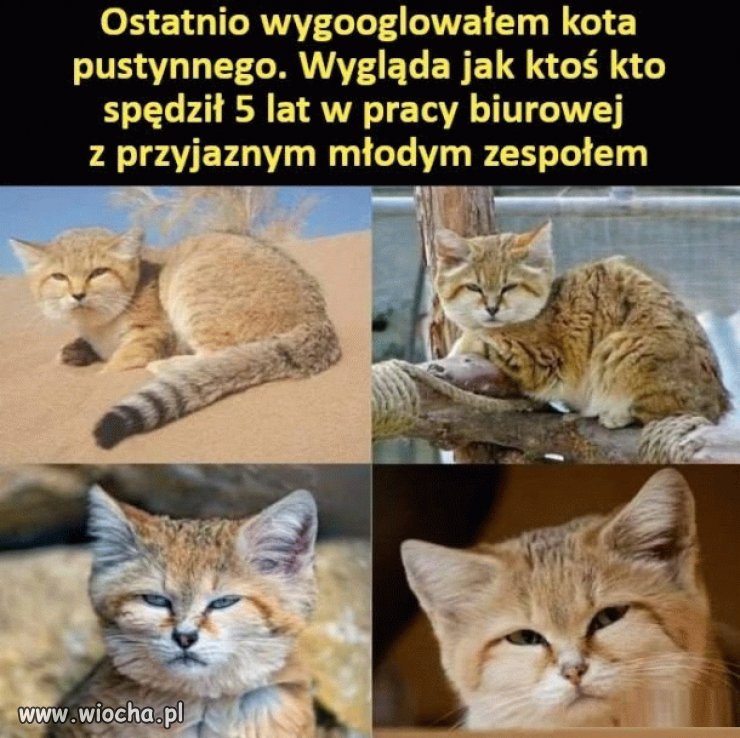 Kto wie, ten wie