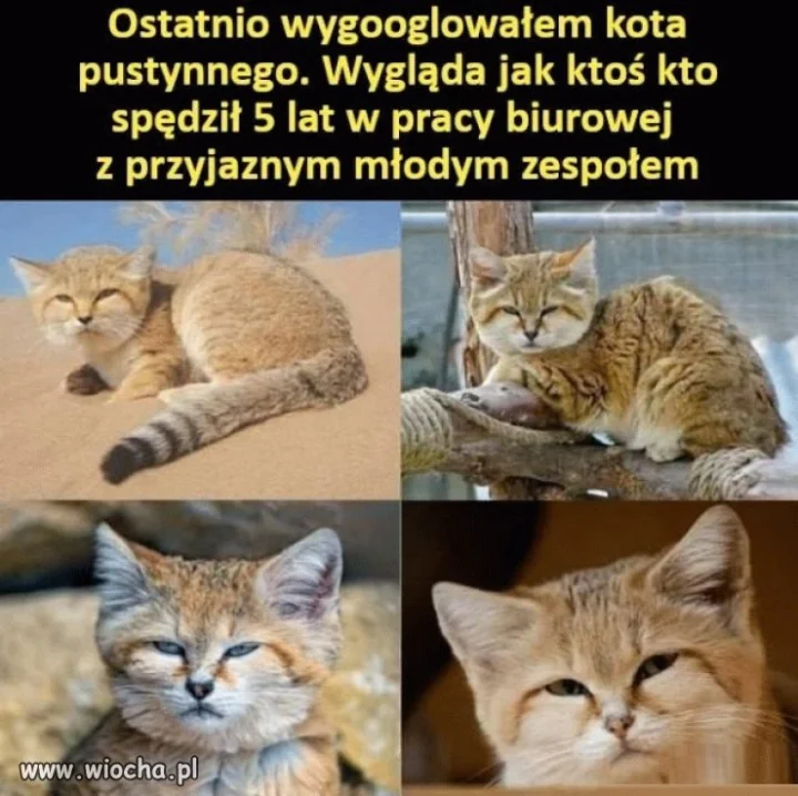 Kto wie, ten wie