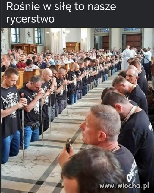 Rośnie armia debili