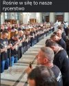 Rośnie armia debili