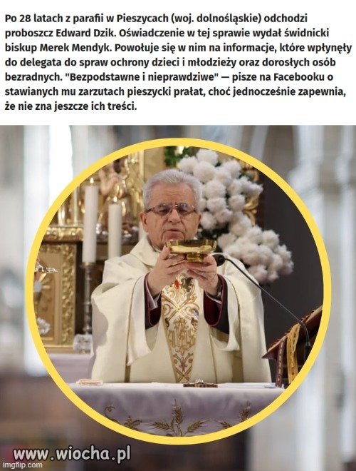 Dzik z Pieszyc