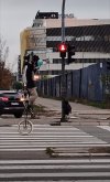 Kolejny nudny dzień w robocie... 