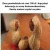 Kiedy budżet świąteczny spotyka się z kreatywnością