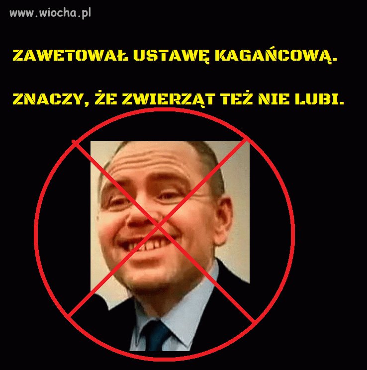 Co za koleś