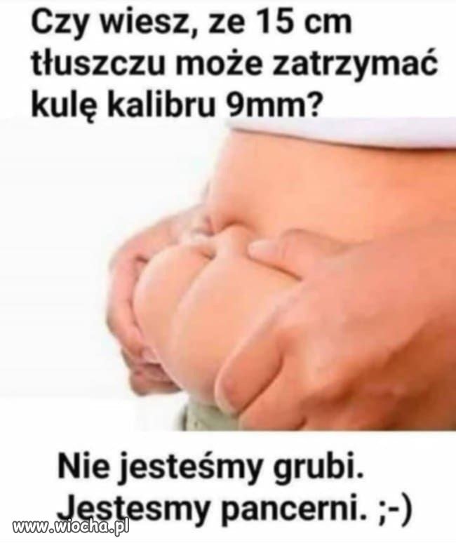 Naturalny system antybalistyczny