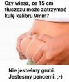 Naturalny system antybalistyczny