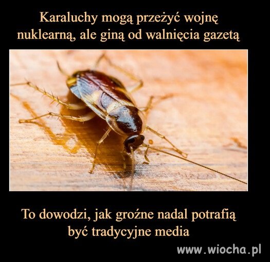 Ciekawe porównanie