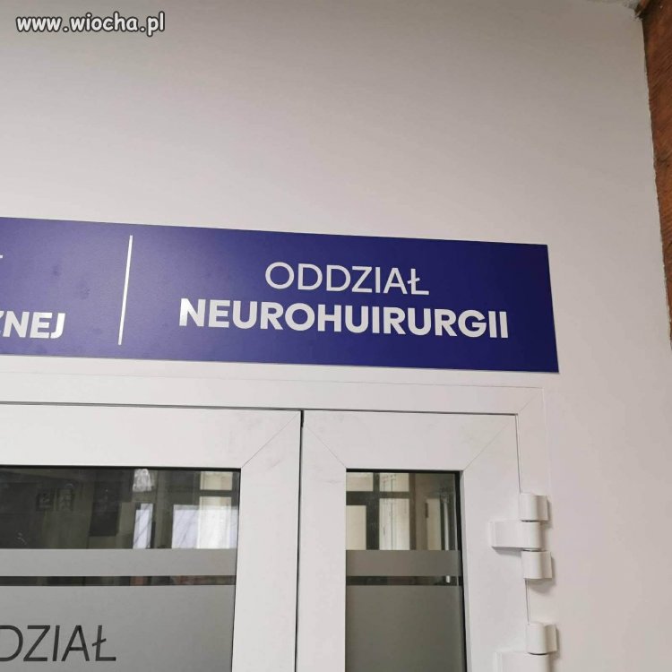 Polska język, trudna język