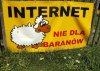 A tak mi się czasami wydaje 
