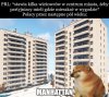 Mieli rozmach