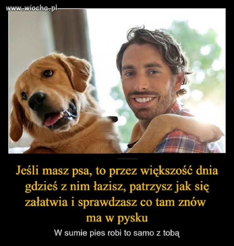 Jeden chce przechytrzyć drugiego...