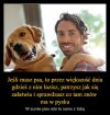Jeden chce przechytrzyć drugiego...
