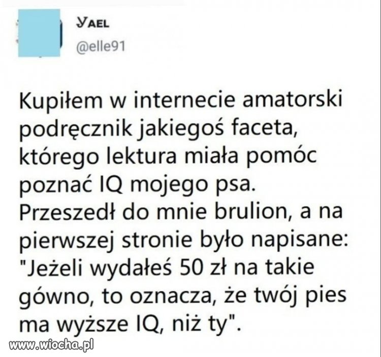 Gdy inwestycja w wiedzę kończy się ciosem w dumę