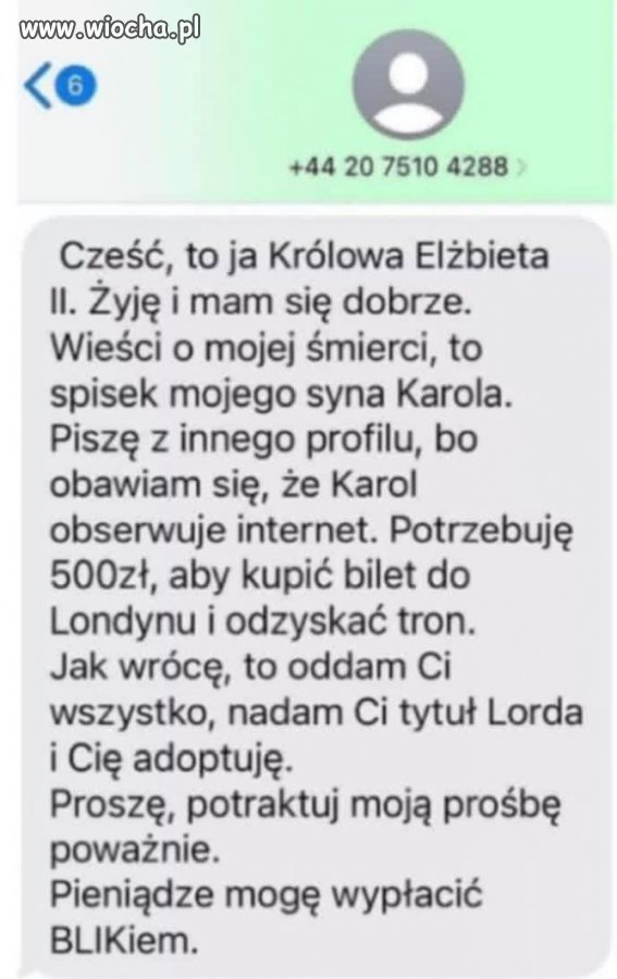 Nic tylko wspierać 