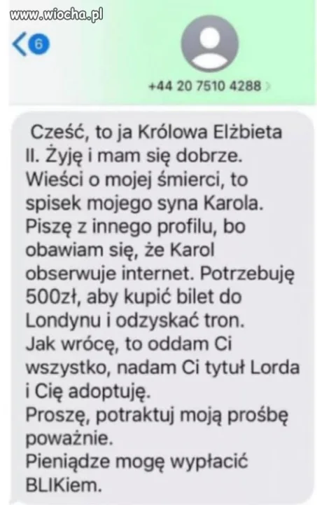 Nic tylko wspierać 