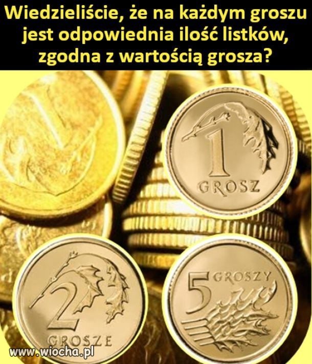 Tajemnice polskiej waluty
