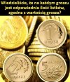 Tajemnice polskiej waluty