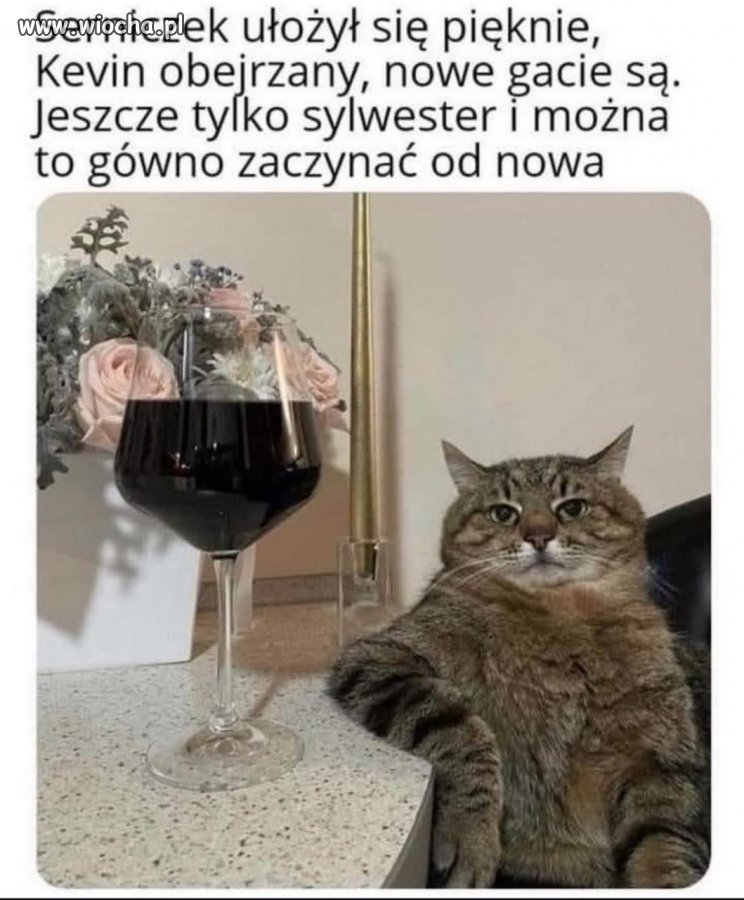 Kto się zgadza ręka do góry