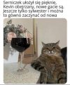 Kto się zgadza ręka do góry