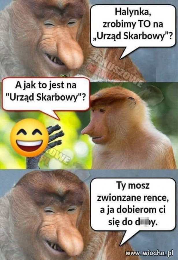 Kiedy mem łączy romanse z podatkami