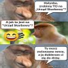 Kiedy mem łączy romanse z podatkami