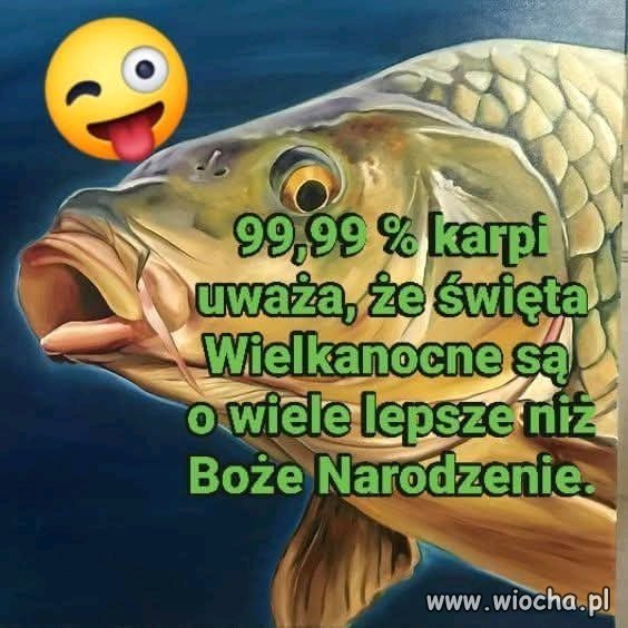 Gdy statystyka mówi całą prawdę o życiu