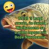 Gdy statystyka mówi całą prawdę o życiu