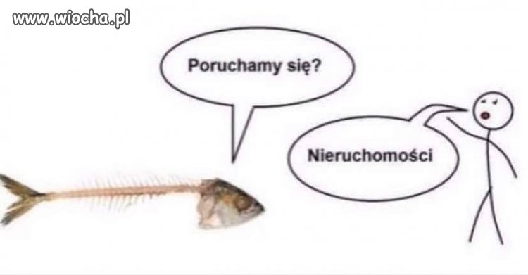 NieruchomOści