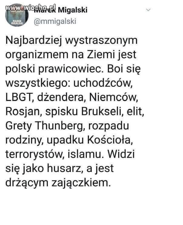 Polski prawicowiec nie boi się Rosji wiecznego wroga Polski
