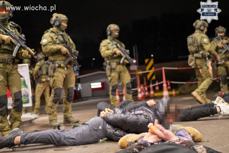 Rozbito gang przemytników obcokrajowców na Śląsku