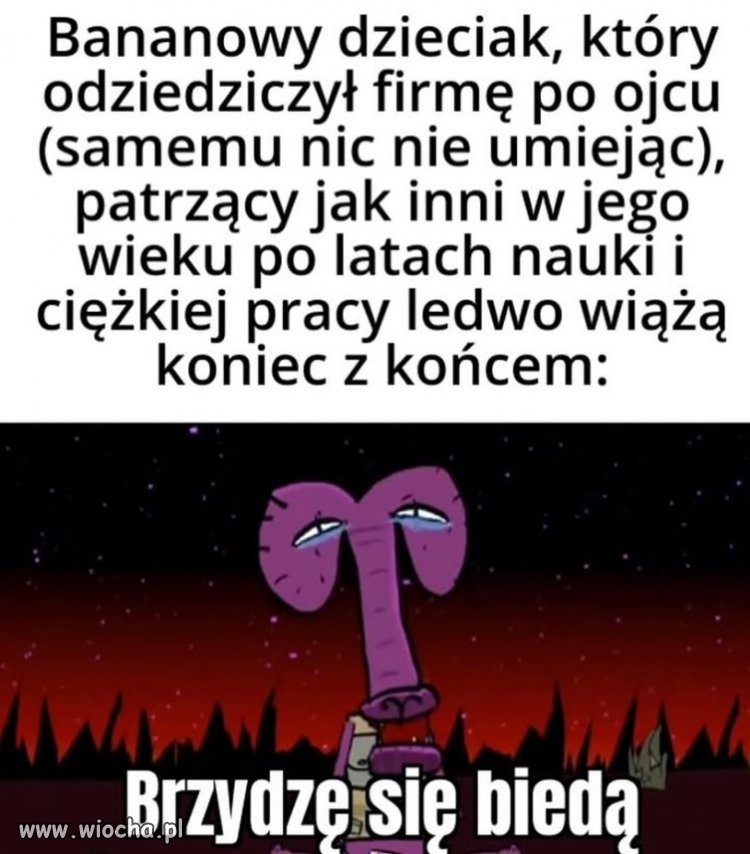 Ej, wy tak serio?