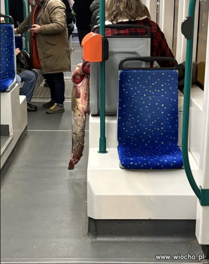 I tak w całym autobusie...