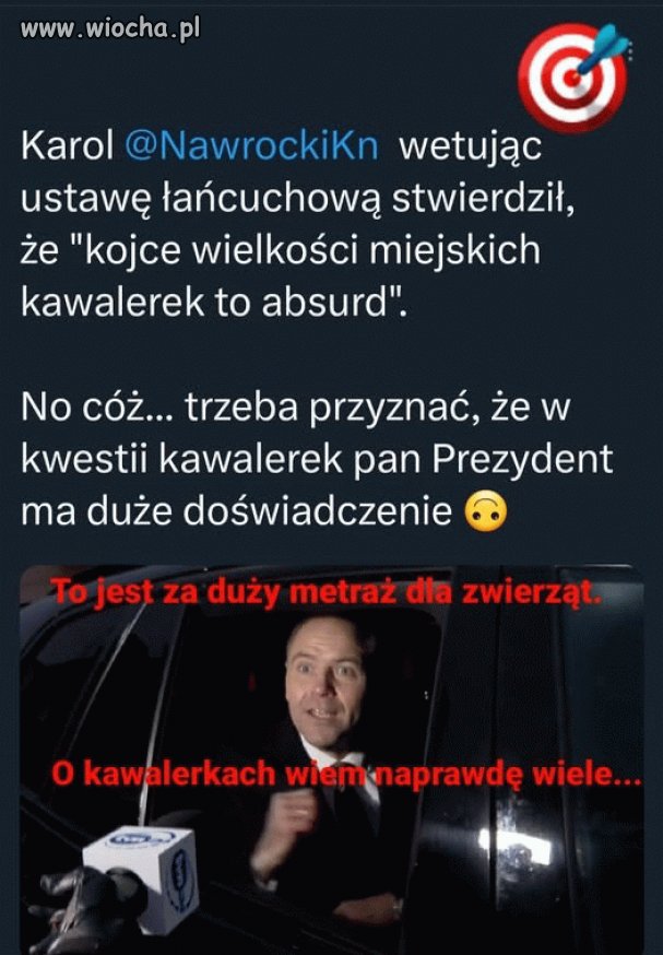 W kwestii kawalerek jest ekspertem