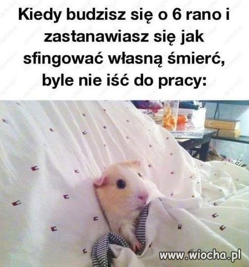 A im wcześniejsza godzina 