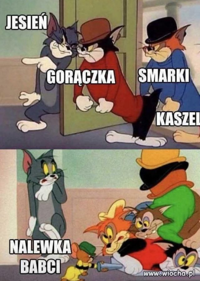 Jesień w pełnym pakiecie