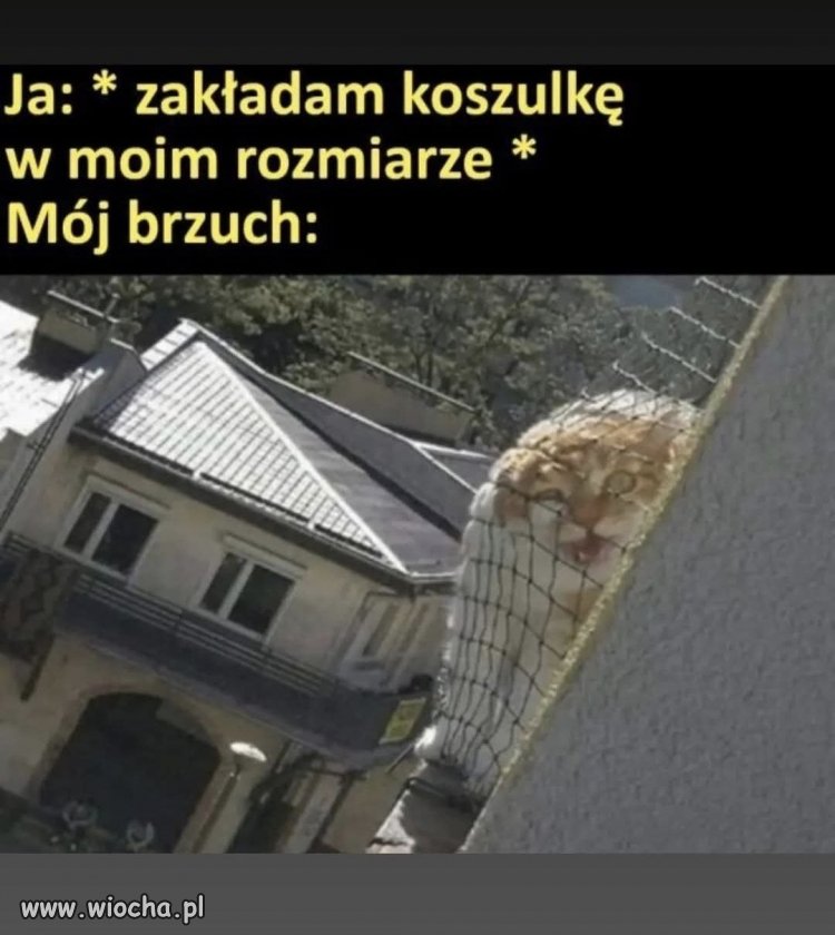 Zaufanie do tabelki