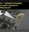 Zaufanie do tabelki