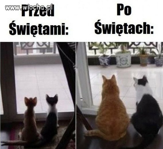 Przed świętami vs. po świętach